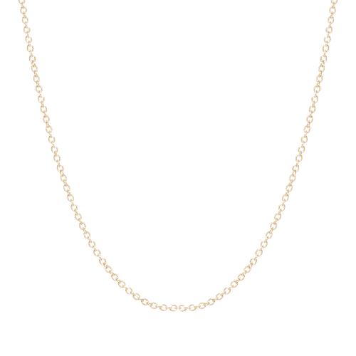 Stone and Strand 10K Yellow Gold Teeny Gold Chain Necklace Front Image