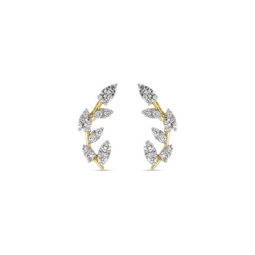 Stone and Strand 10K Yellow Gold Secret Garden Trellis Studs Front Image