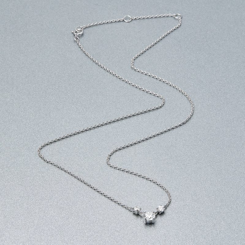 SILVER LAB NECKLACE EDITORIAL